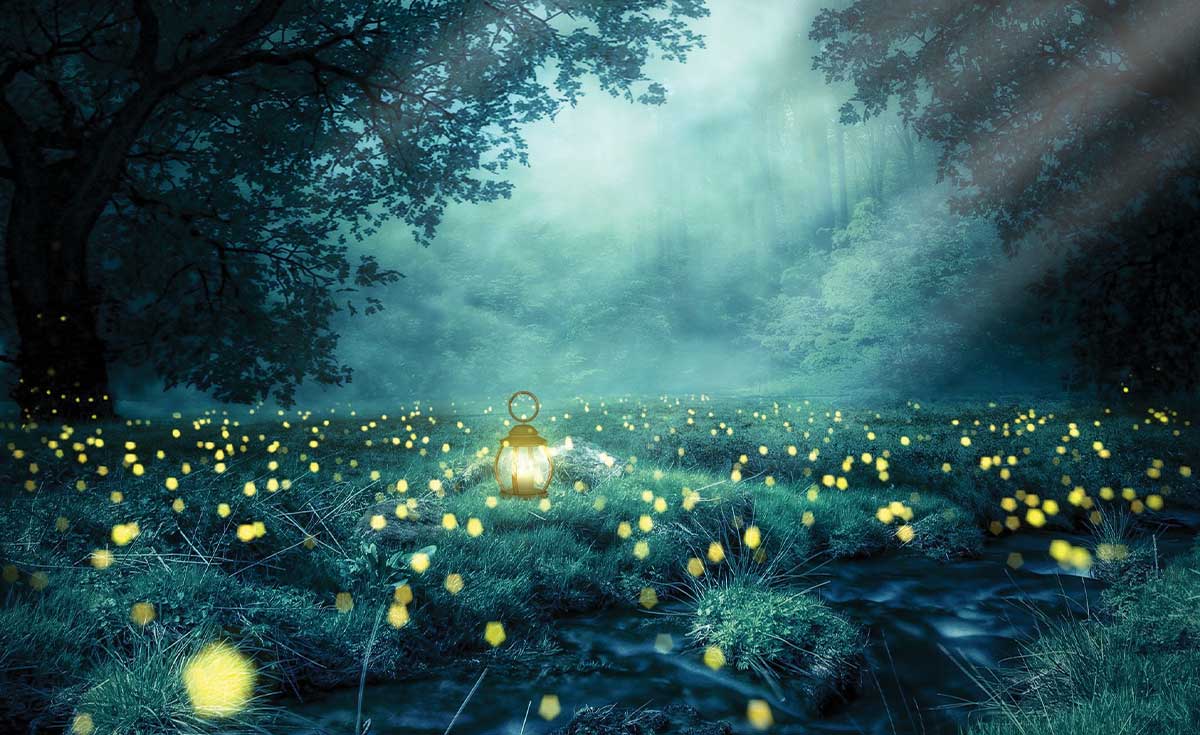 Studio Nature Backdrop/Floor NAT001