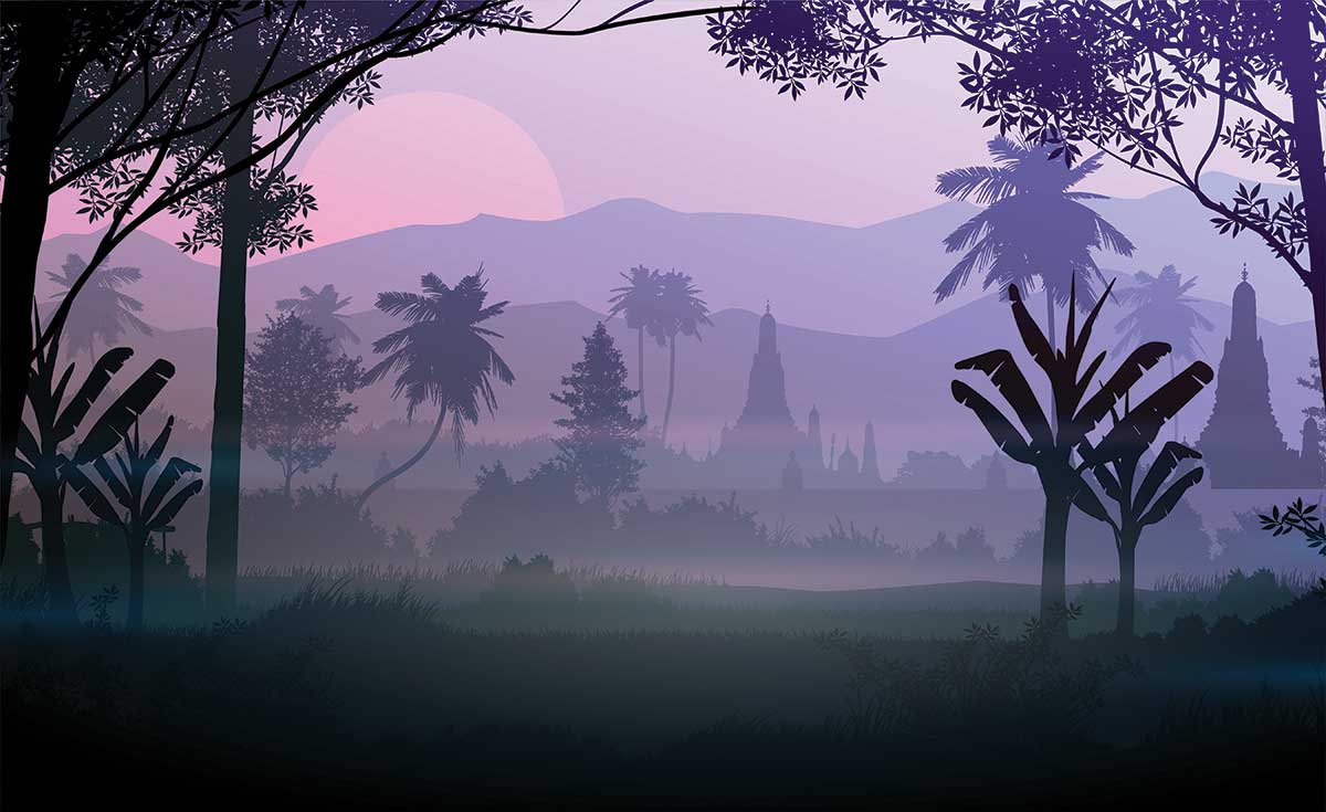 Studio Nature Backdrop/Floor NAT002