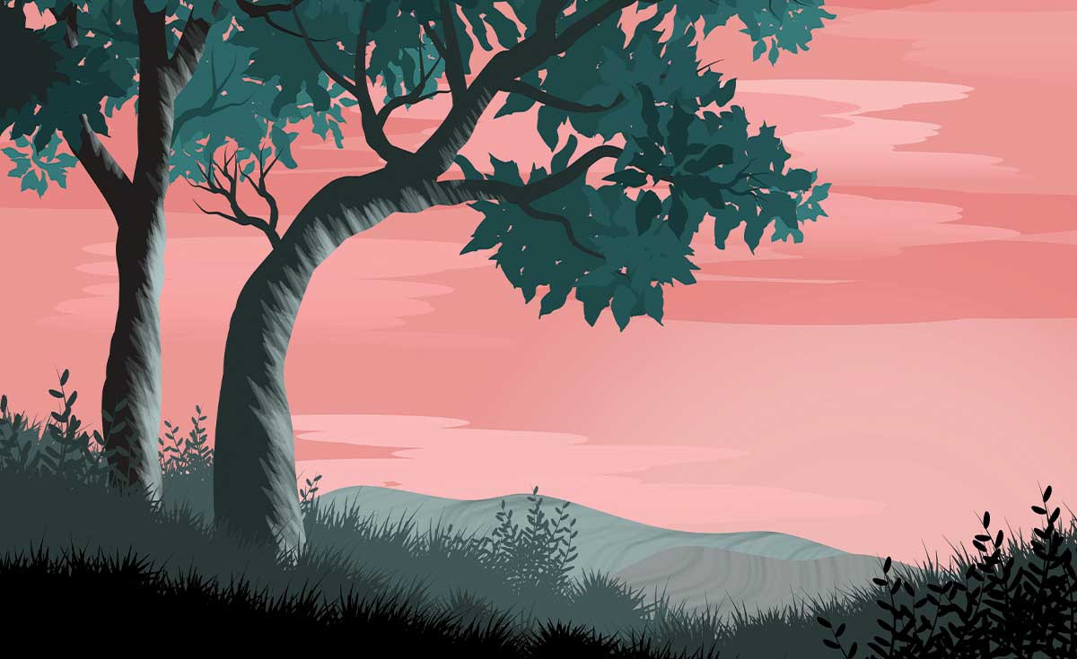 Studio Nature Backdrop/Floor NAT003