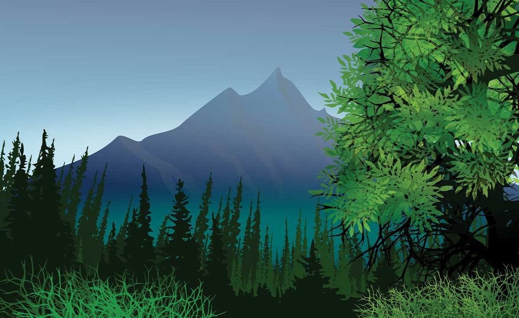 Studio Nature Backdrop/Floor NAT009