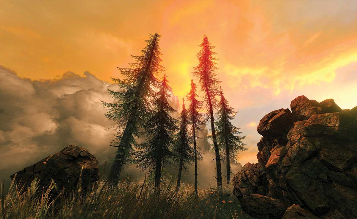 Studio Nature Backdrop/Floor NAT010