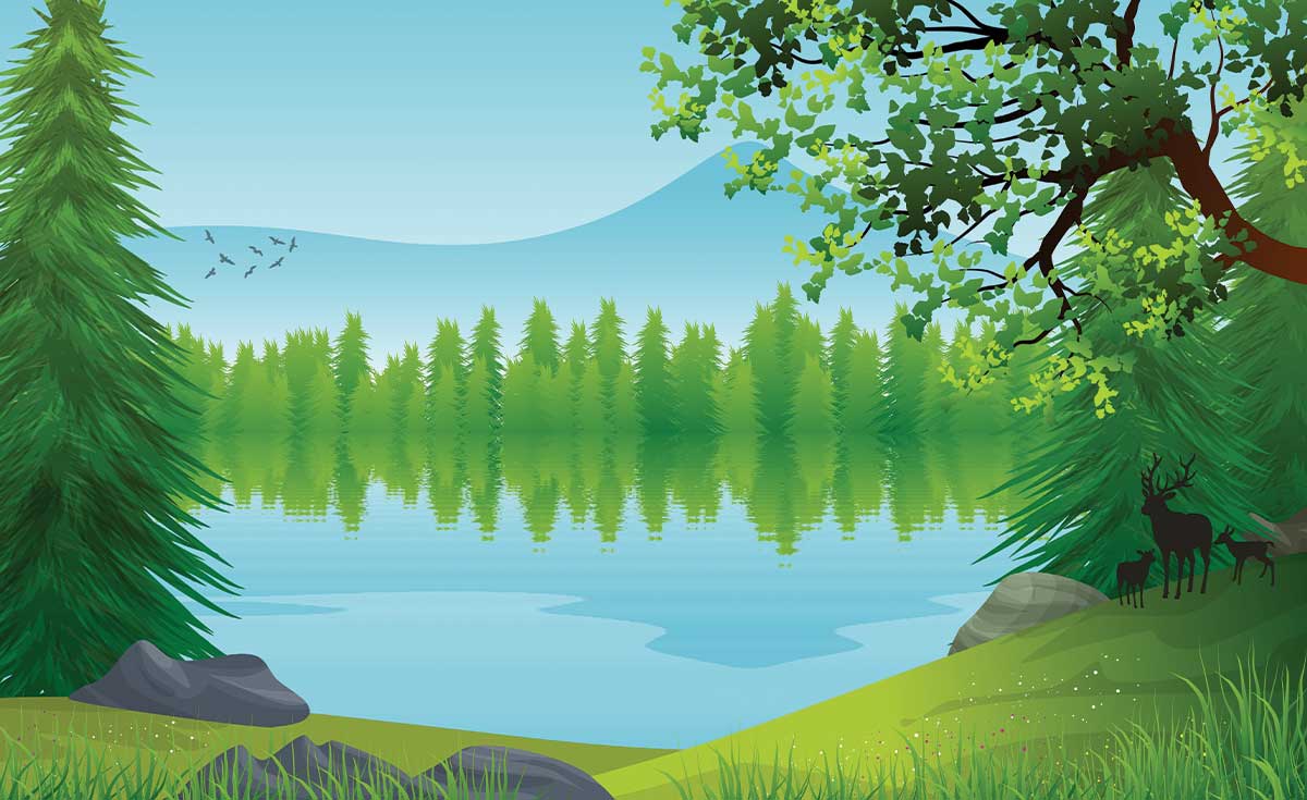 Studio Nature Backdrop/Floor NAT011