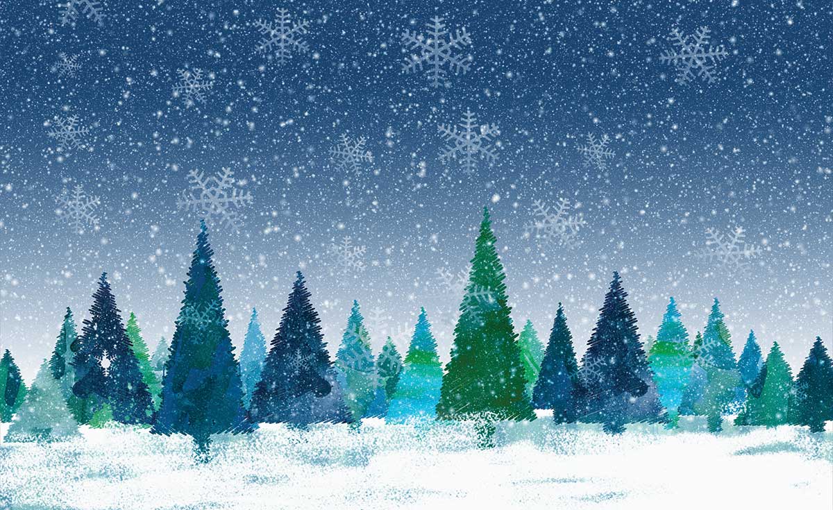 Studio Christmas Backdrop NAV100