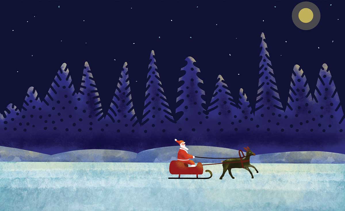 Studio Christmas Backdrop NAV101