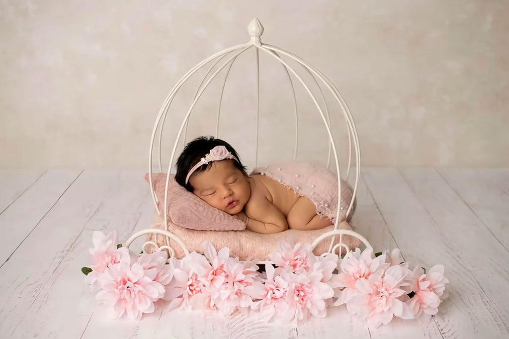 PRE-ORDER Wire Pumpkin Carriage - Model 3