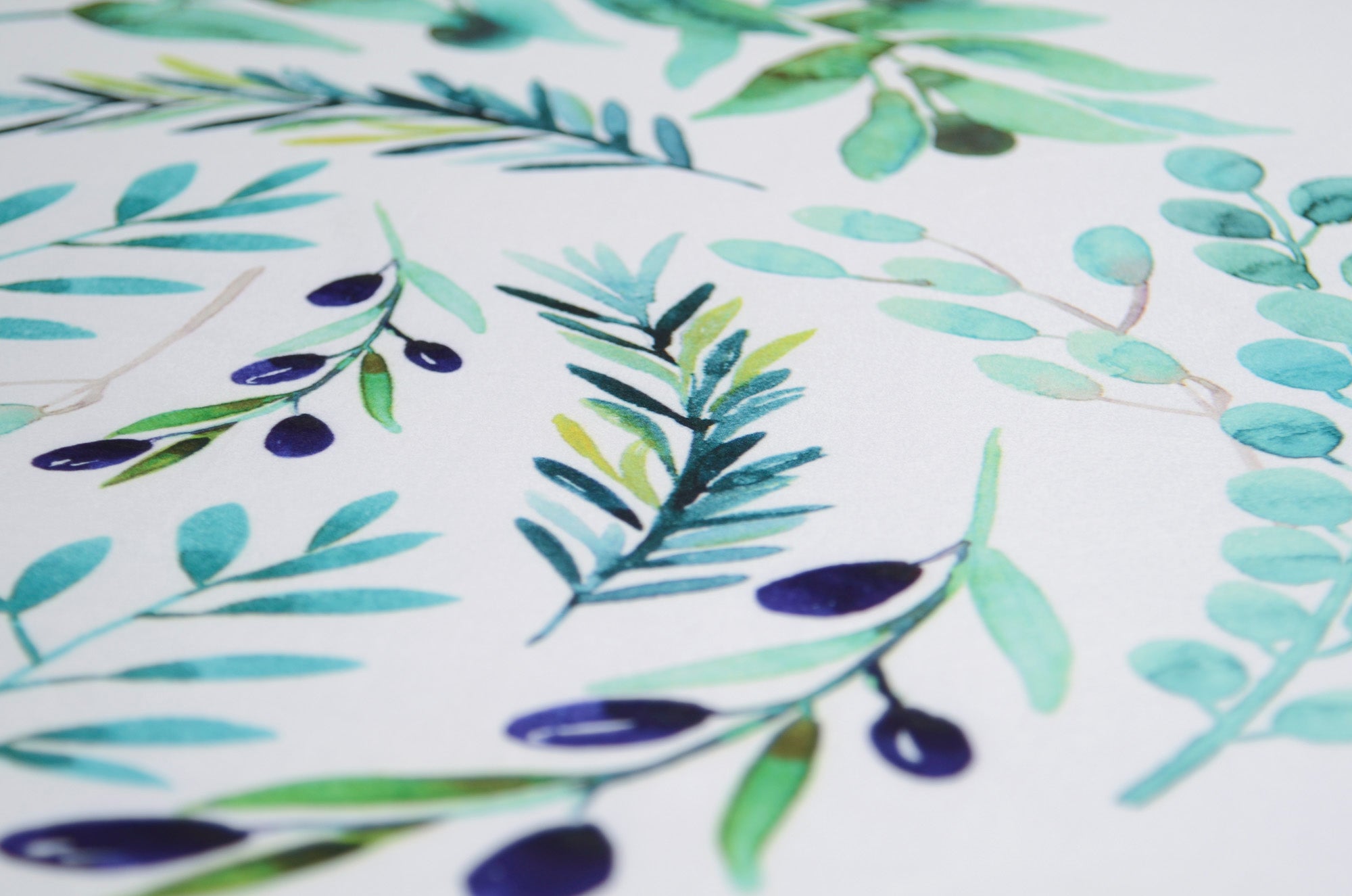 Printed Fabric - Olive Branches