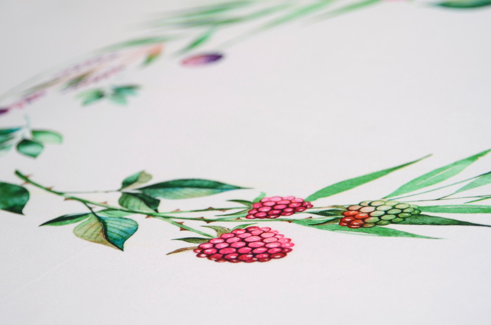 Printed Fabric - Raspberries