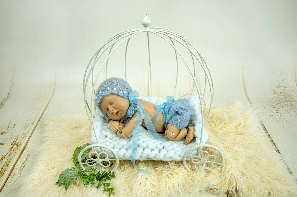 PRE-ORDER Wire Pumpkin Carriage - Model 3