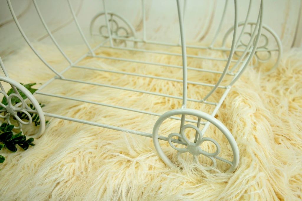 PRE-ORDER Wire Pumpkin Carriage - Model 3