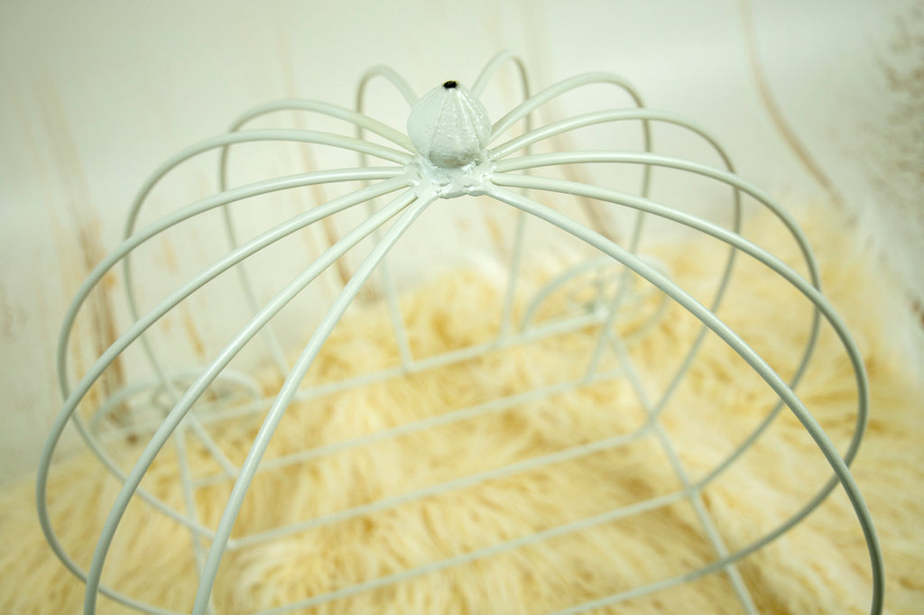 PRE-ORDER Wire Pumpkin Carriage - Model 3