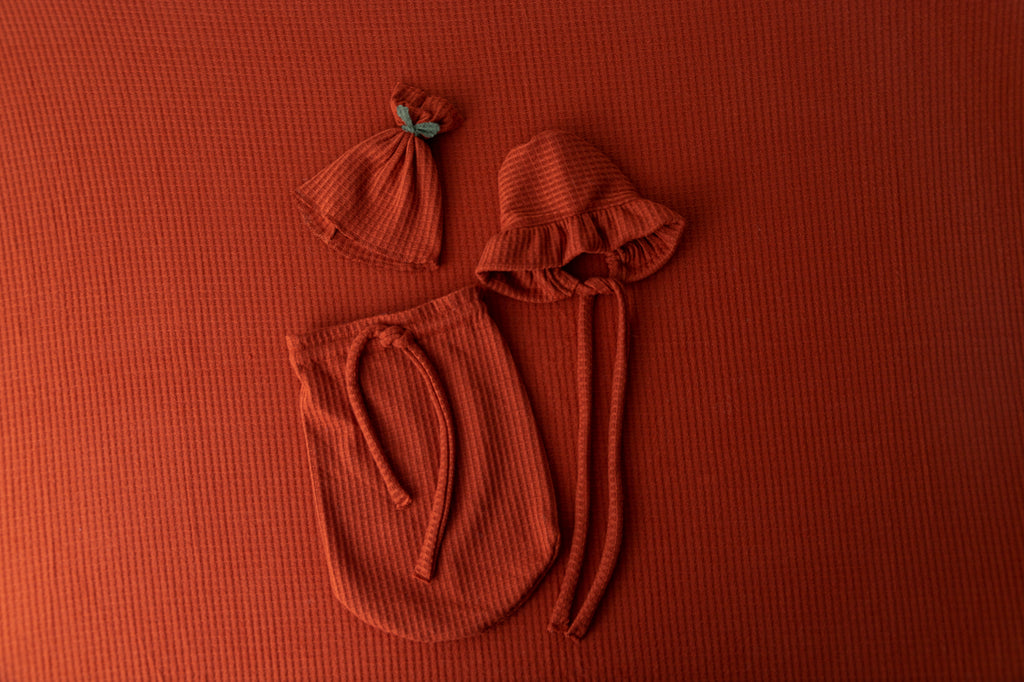 SET Fall Pumpkin - Perforated - Rust