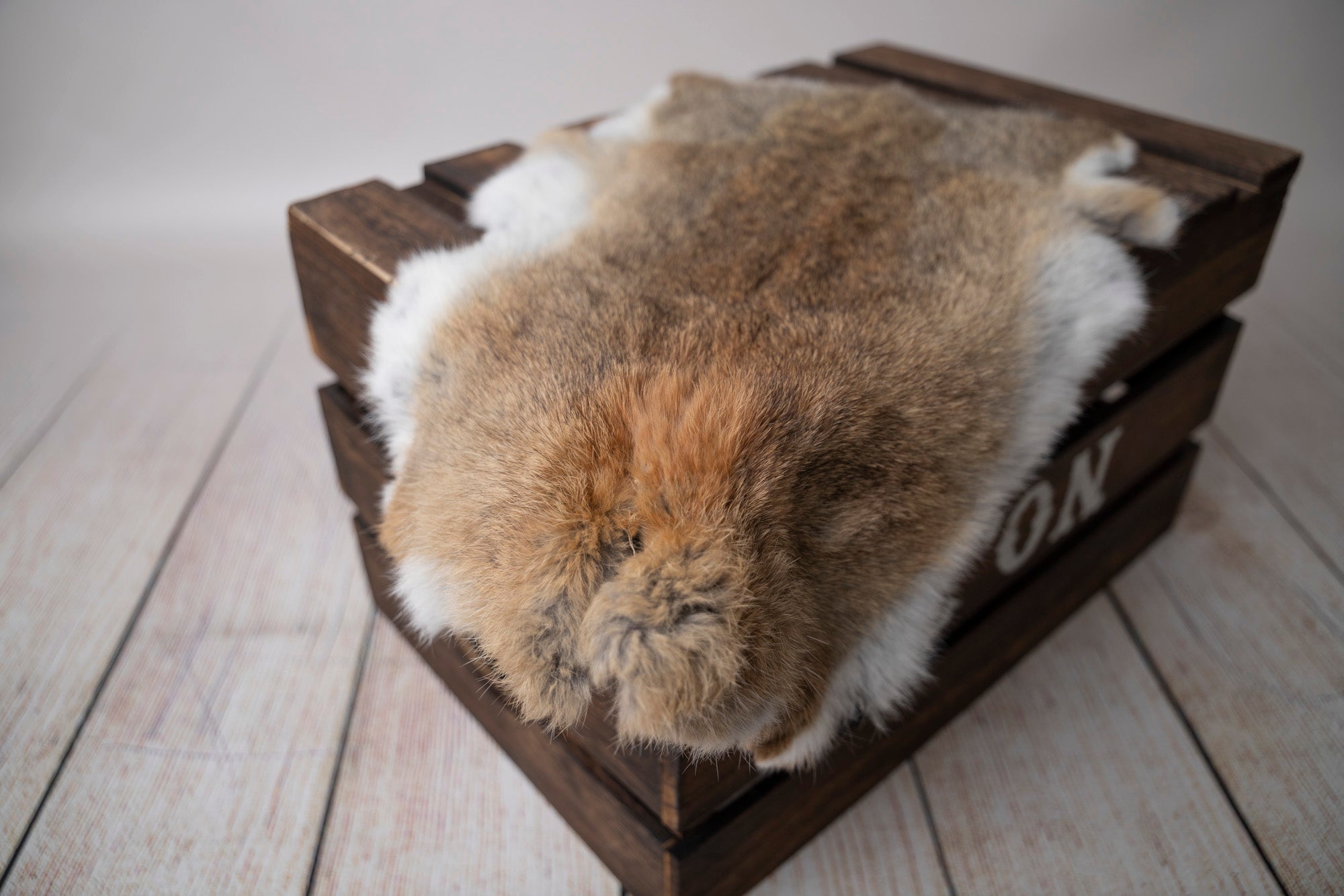 Rabbit Faux Fur Newborn Photography Prop – Newborn Studio Props