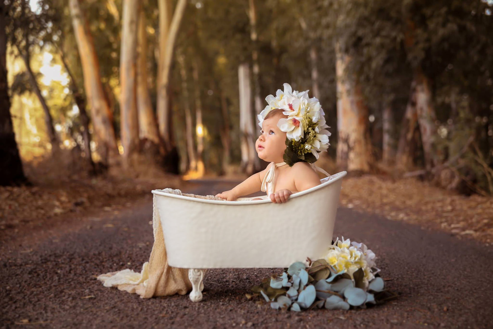 Vintage Bathtub Prop for newborn and baby photography Newborn Studio